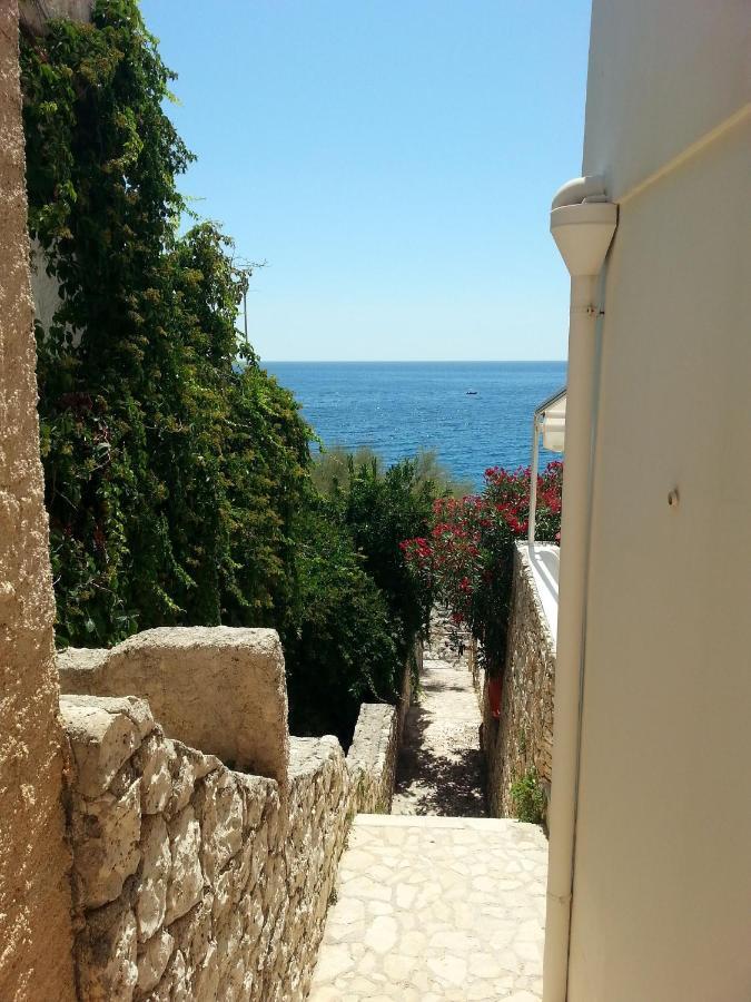 Villa Perla Sul Mare Adriatico Marittima Exterior foto